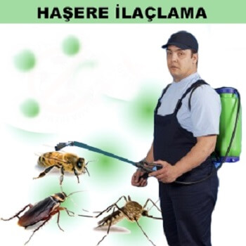 Atakum Böcek İlaçlama